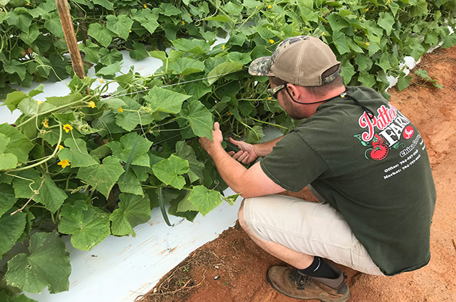 farmer-in-garden